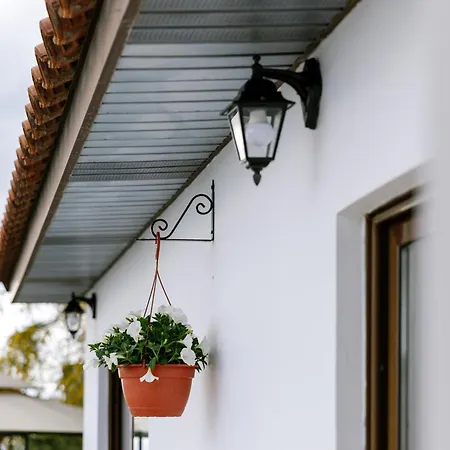 Сasa de vacaciones Dream In Tala With Private Pool, Sea & Mountain Views & Garden Retreat Paphos