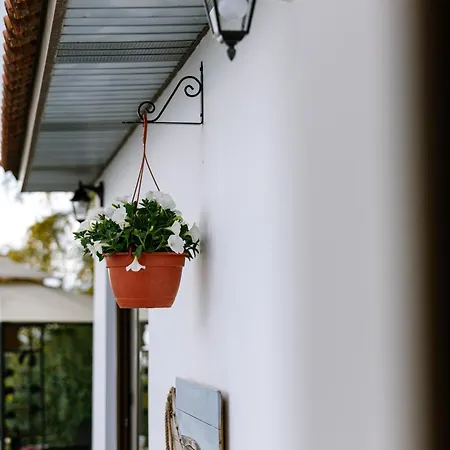 Dream In Tala With Private Pool, Sea & Mountain Views & Garden Retreat *